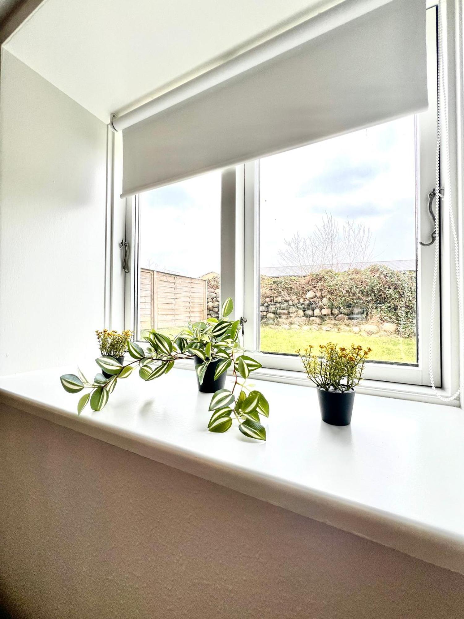 5 Minute Walk To Lego House - 50M2 Apartment With Garden / A Unit Billund Bagian luar foto