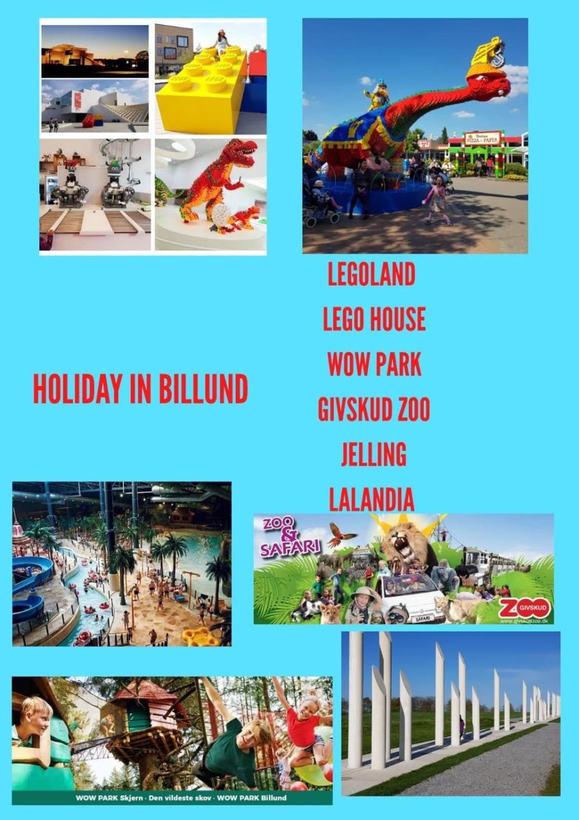5 Minute Walk To Lego House - 50M2 Apartment With Garden / A Unit Billund Bagian luar foto